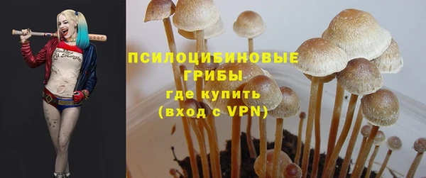 не бодяженный Верхний Тагил