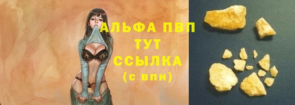 молекула духа Бронницы