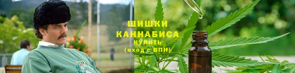 молекула духа Бронницы