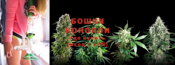 стафф Верея