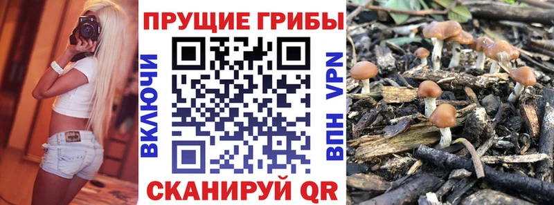 Галлюциногенные грибы GOLDEN TEACHER  Тула 